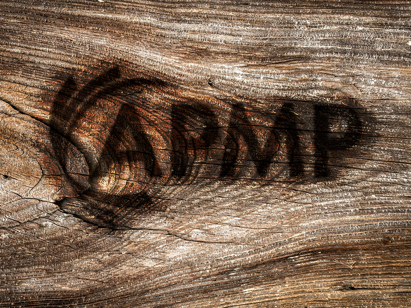 APMP Wood Burn
