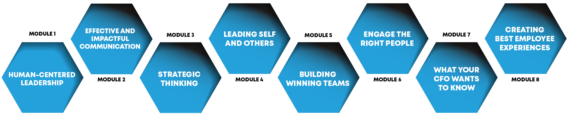 LeadershipModules